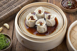 Crunchy Chicken Dumpling