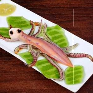 Dragon Squid