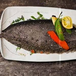 Apollo Fish