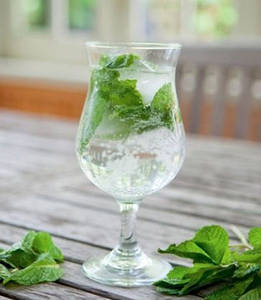 Mint Mojito