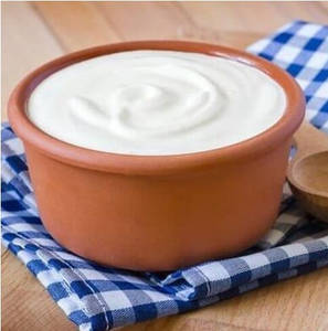 Plain Curd