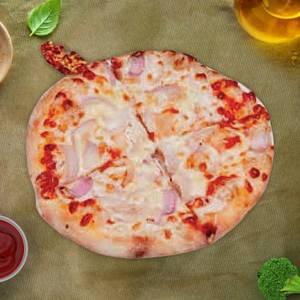 Onion cheese pizza