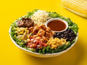 Mexican Herbed Paneer Salad [Regular]