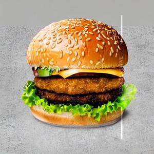 Al Hamd Spcl Burger