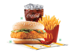 EVM McSpicy® Paneer