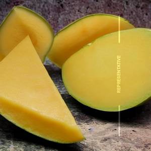 Muskmelon