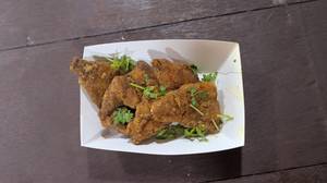 Fish Volcano - 6 Pieces