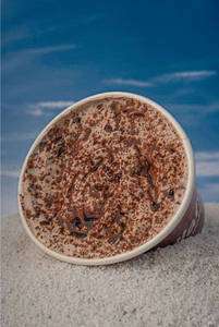 Chocolate Fudge Shake