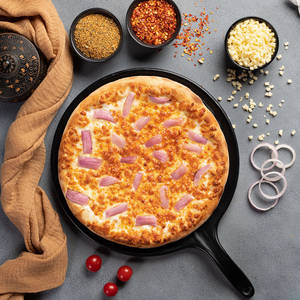 Cheese Onion Pizza