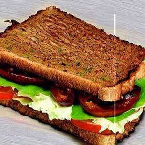 Shakti Special Sandwich Grilled