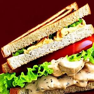 Chicken Mayo   Sandwich