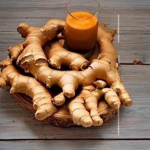 Ginger Elachi