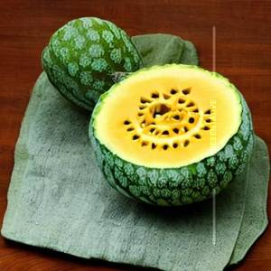 Muskmelon