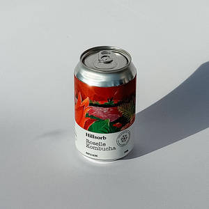 Hibiscus Kombucha