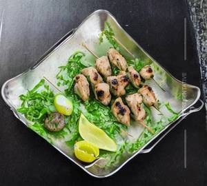 Chicken Pudina Kebab
