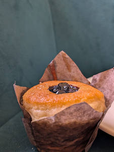 Blueberry Muffin