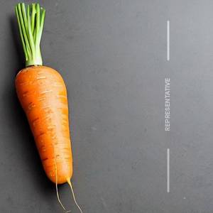 Carrot