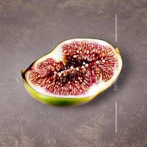 Fig