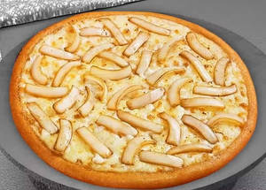 Cheese N Onion Pizza