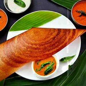 Tomato Coconut Capsicum Plain Dosa