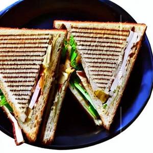 Ashtbhuja speical sandwich