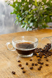 Espresso Shot(60 Ml)