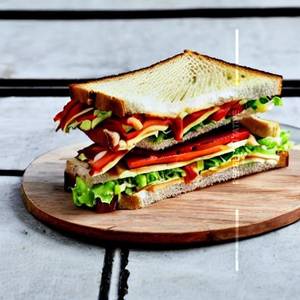 Novelty Spl Sandwich