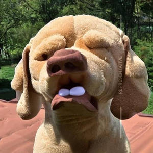 The Monster Dog