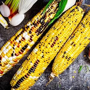 American Corn