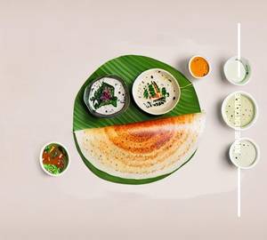 Dosa [Family]