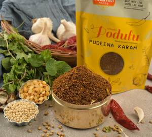 Pudina Karam