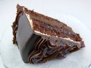 Chocolate Truffle Slice