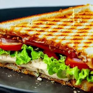 Chicken Cheese Grilled Sandwich