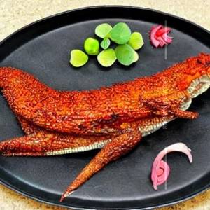 Dragon Fish