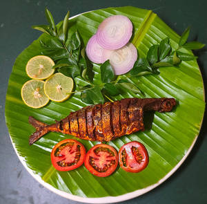 Ayala Tawa  (mackerel) Fry