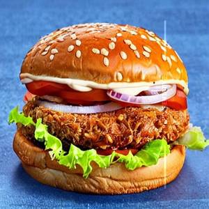 Pulled barbeque chicken burger