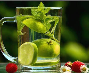 Lemon And Mint Daisy