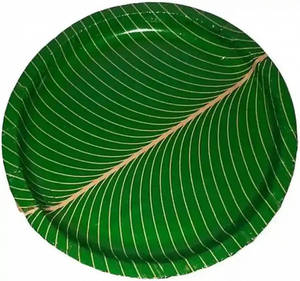 Paper Plate