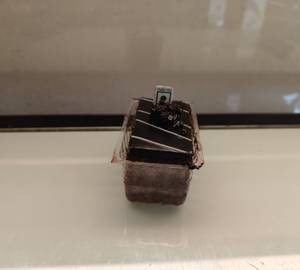 Mousse pastry