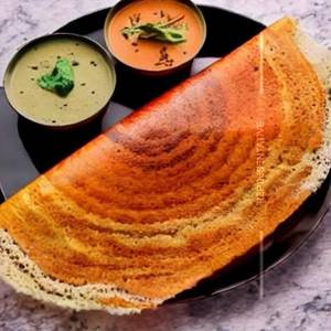 Dhamal sp.Dosa