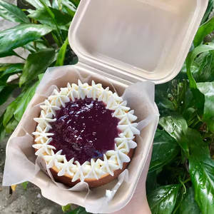 Blueberry Cake [300 G]