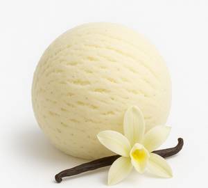 Vanilla Madagascar Ice Cream (2 Scoops)