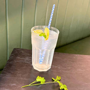 Fresh Lime Soda