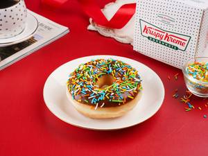 Chocolate Iced Glazed Sprinkle Doughnut