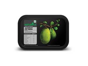Jack Fruit Ice Cream (500 grams)