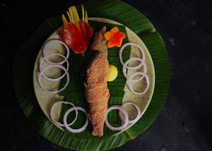 Kane Rawa Fry