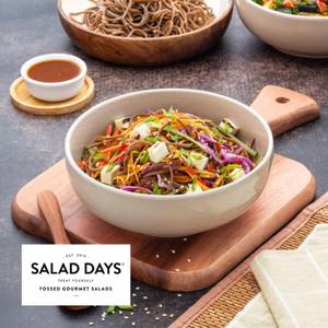 Mini Paneer Soba Noodle Salad