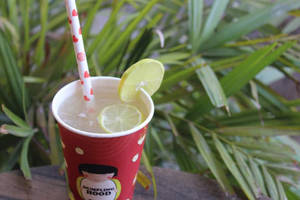 Mix Fresh Lime Soda