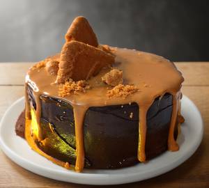 Chocolate Biscoff Cake
