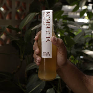 Kombucha Pineapple Mint